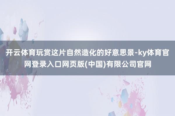开云体育玩赏这片自然造化的好意思景-ky体育官网登录入口网页版(中国)有限公司官网